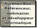 référenceur et webmaster à Orléans